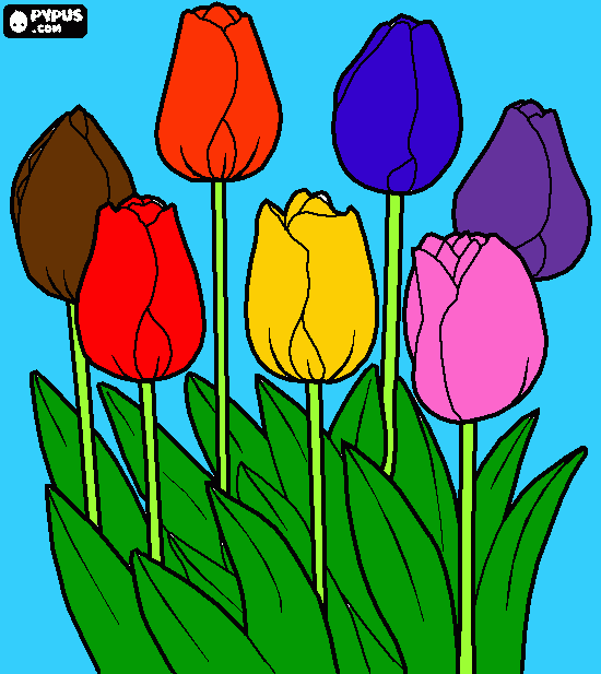 TULIPÁN CERRADO para colorear