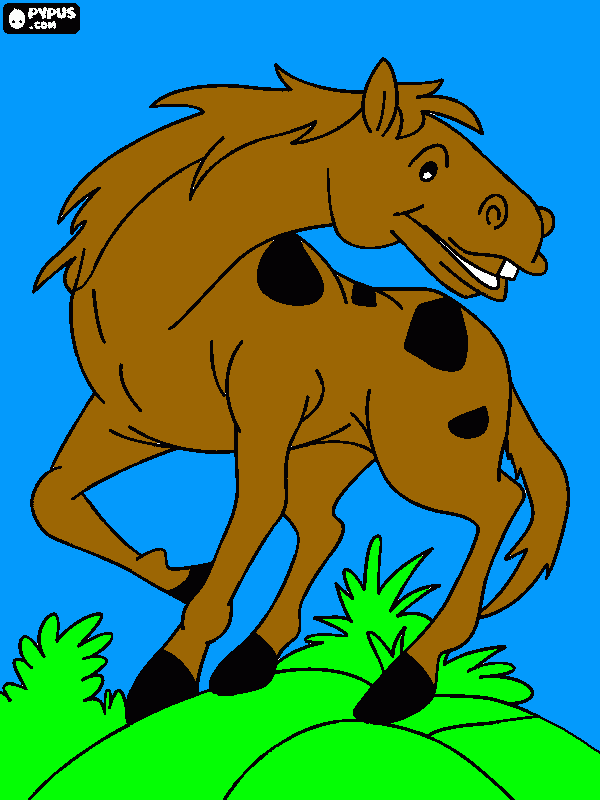 un caballo con manchas para colorear