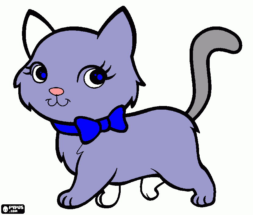 un gato hermoso para colorear