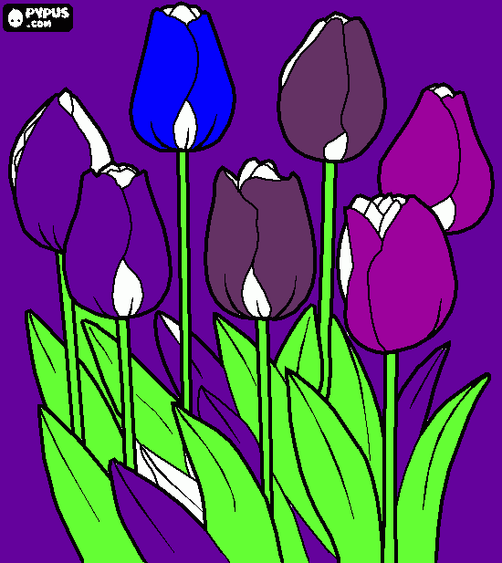 violetas para colorear